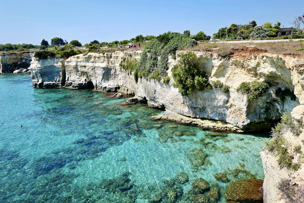 Scogliera marrone e verde accanto al mare blu durante il giorno