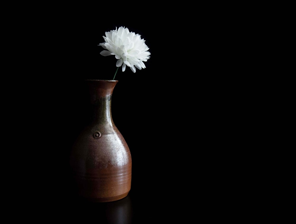 white flower in brown vase