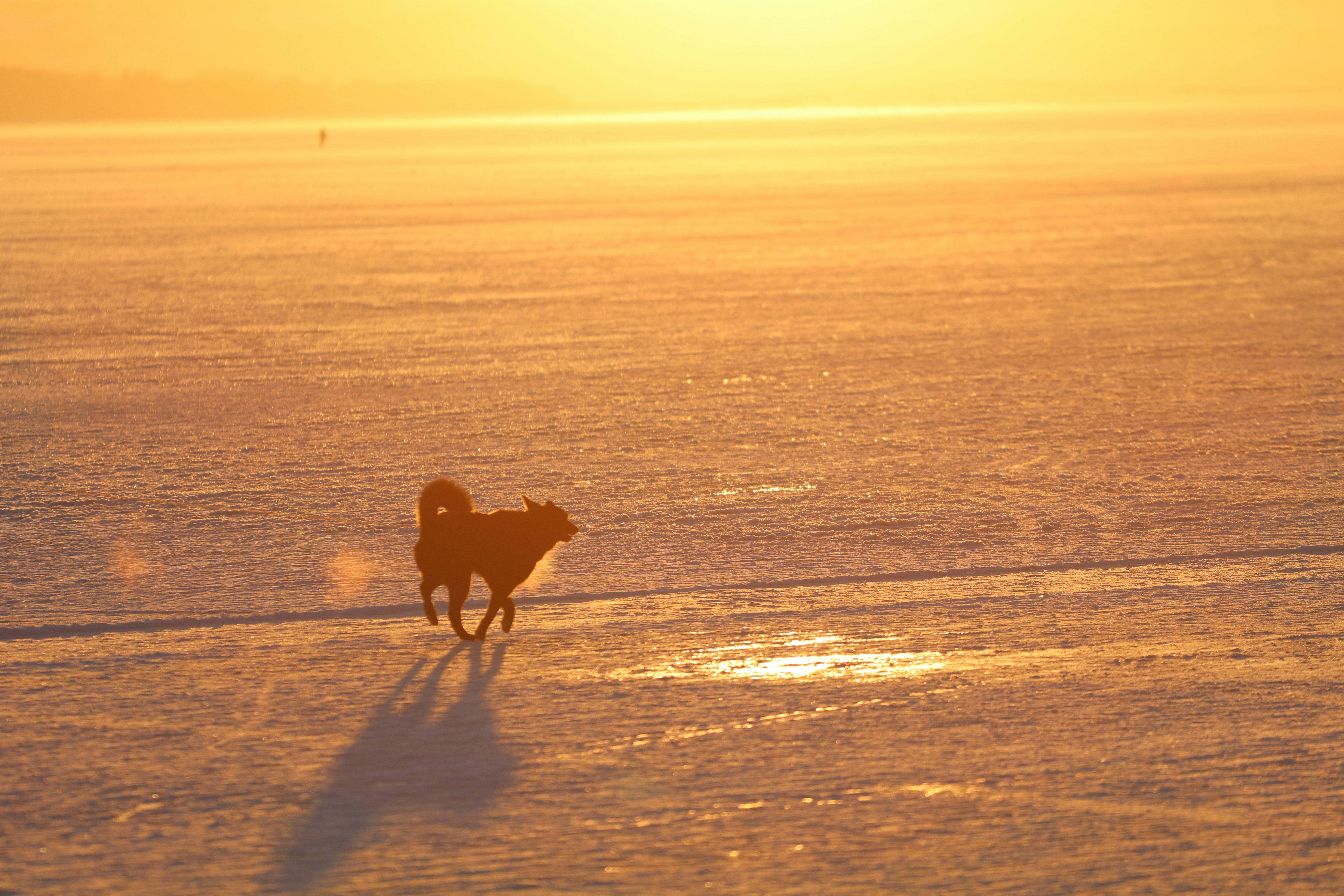 Photo by nihongraphy2