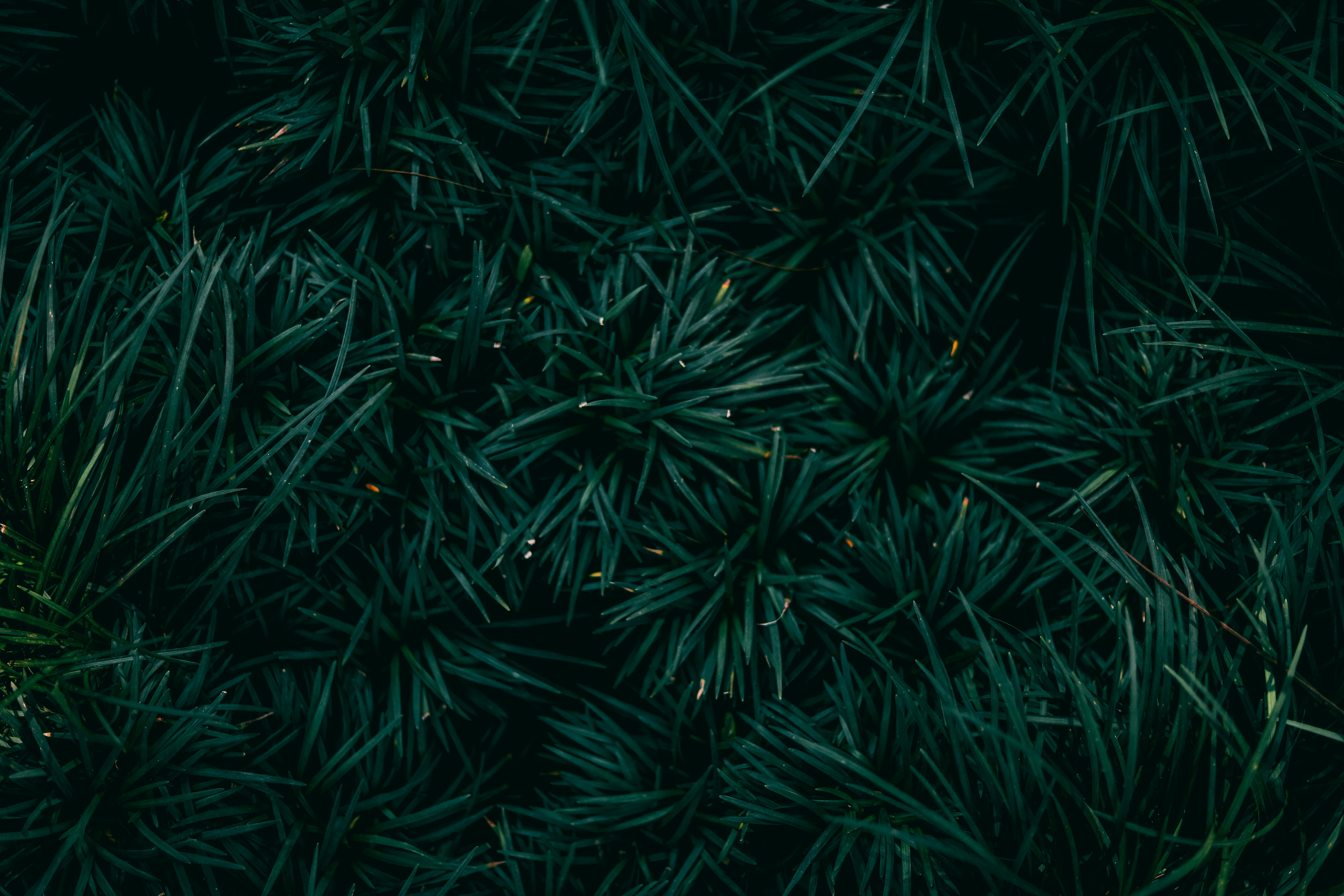 Photo by 2wenty6thstreet