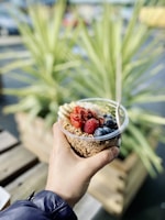 Hands holding a bowl of natural, healthy snack pieces outdoors.