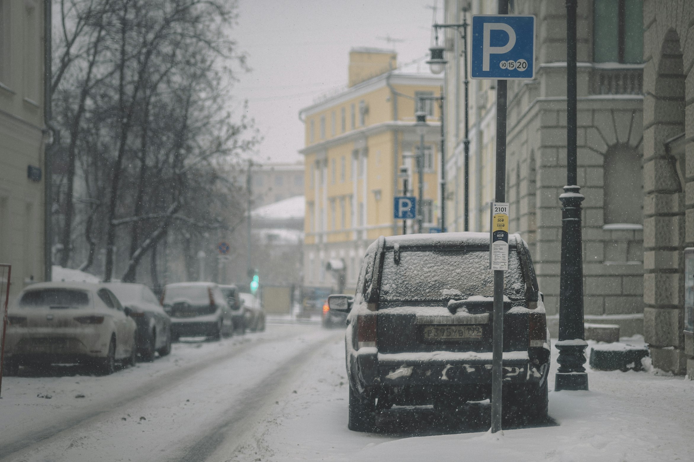 В двух центральных районах Петербурга появятся новые зоны платной парковки