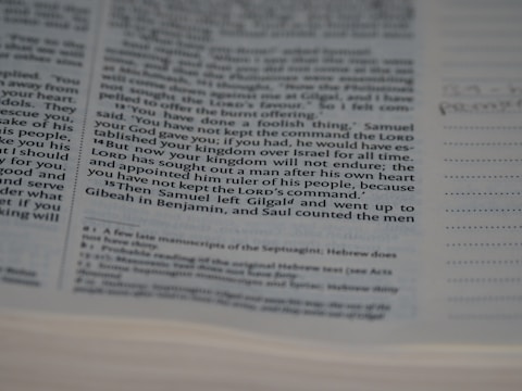 Close-up of a scholar reviewing a thesis manuscript with notes and highlighted sections.
