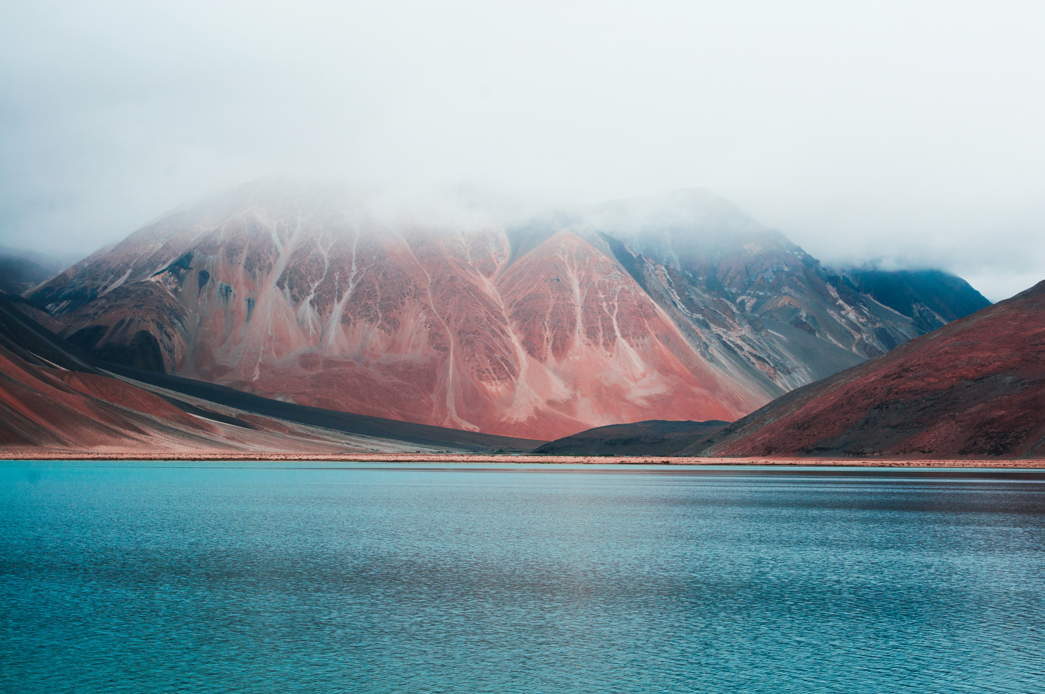 Photo by divya_agrawal