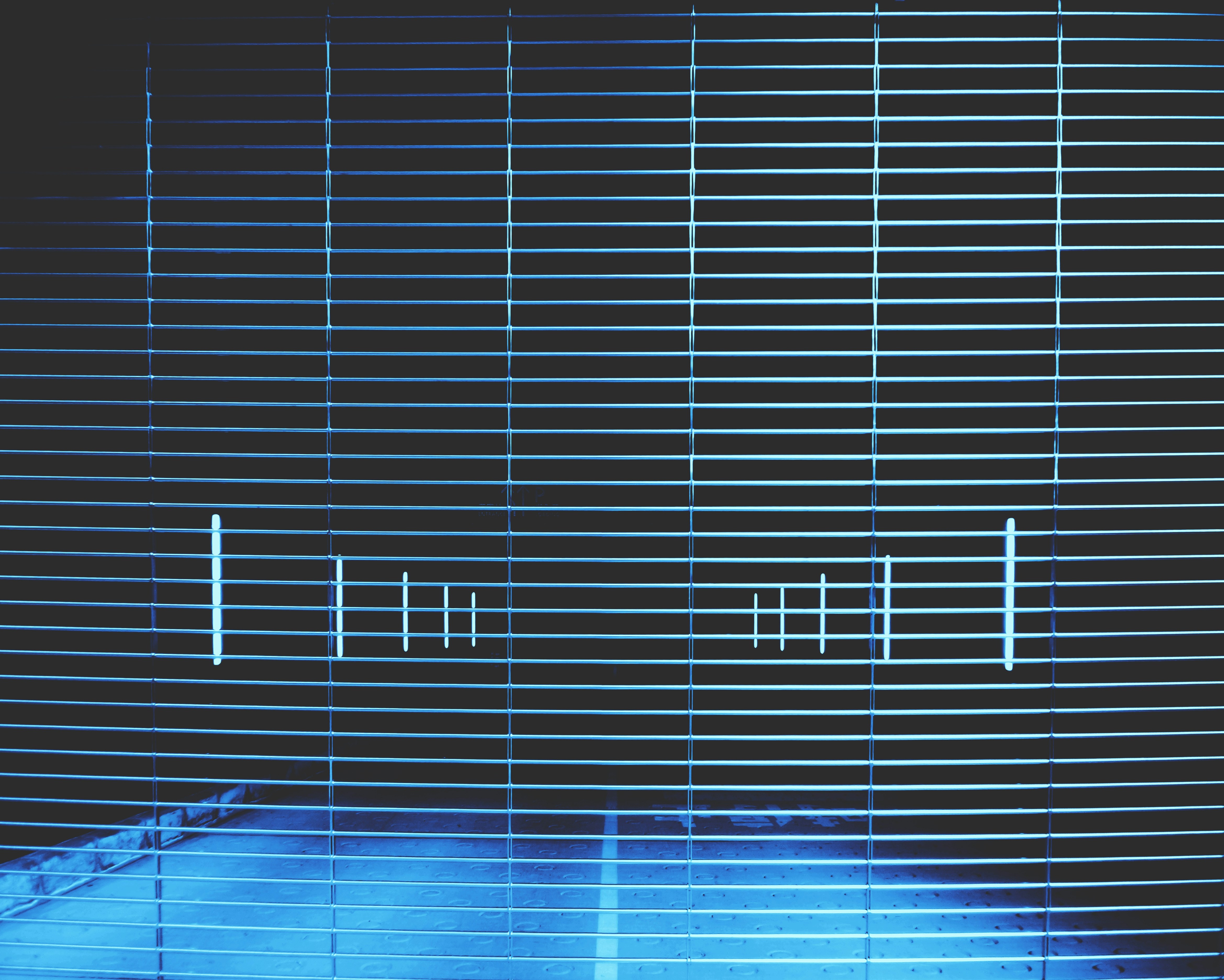 Photo by possessedphotography