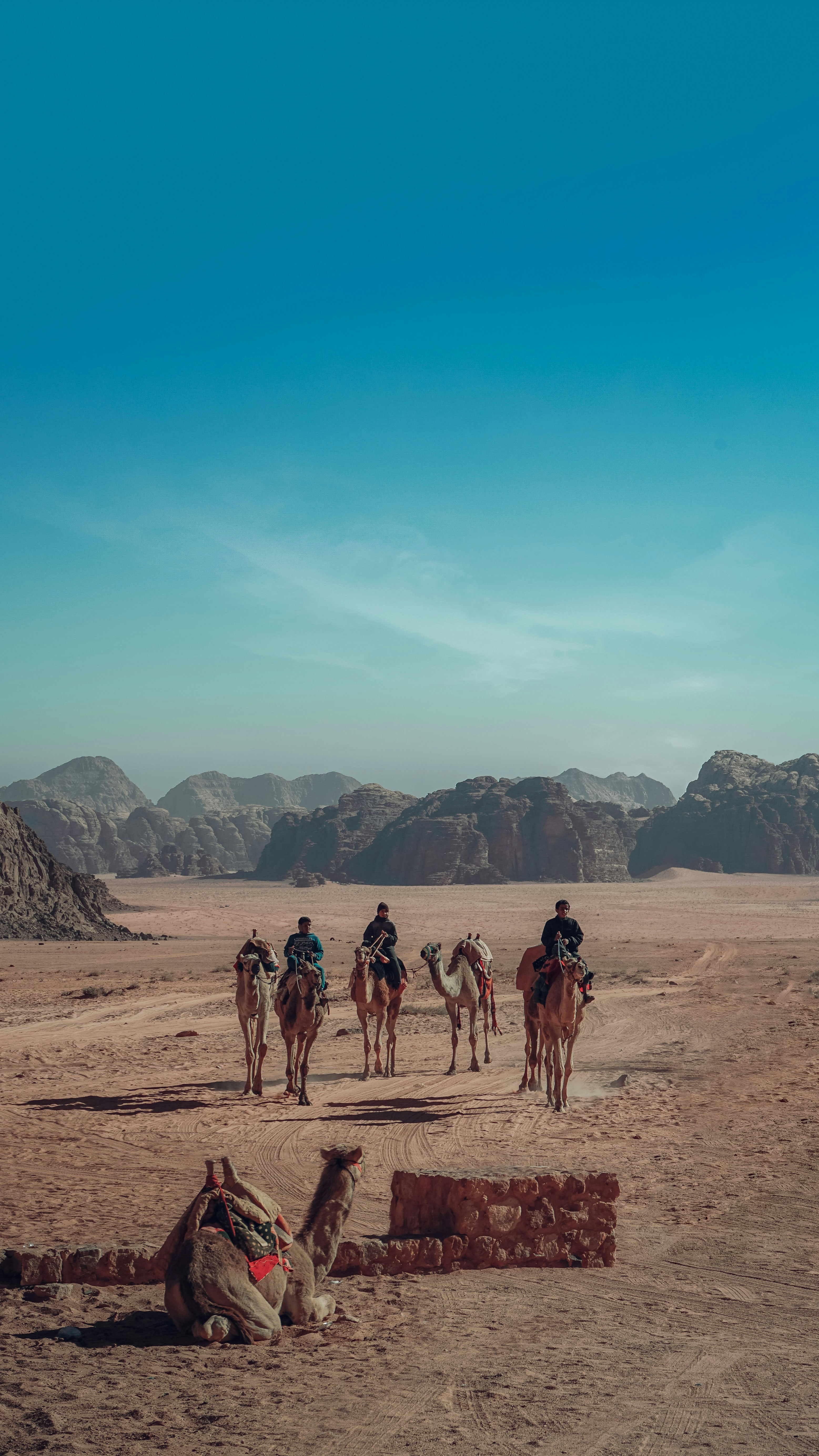 people walking on brown sand during daytime