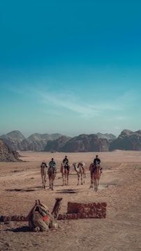 A group of people riding camels traverses a barren desert landscape, with a backdrop of rocky mountains under a clear blue sky. A camel rests in the foreground near a low stone wall.