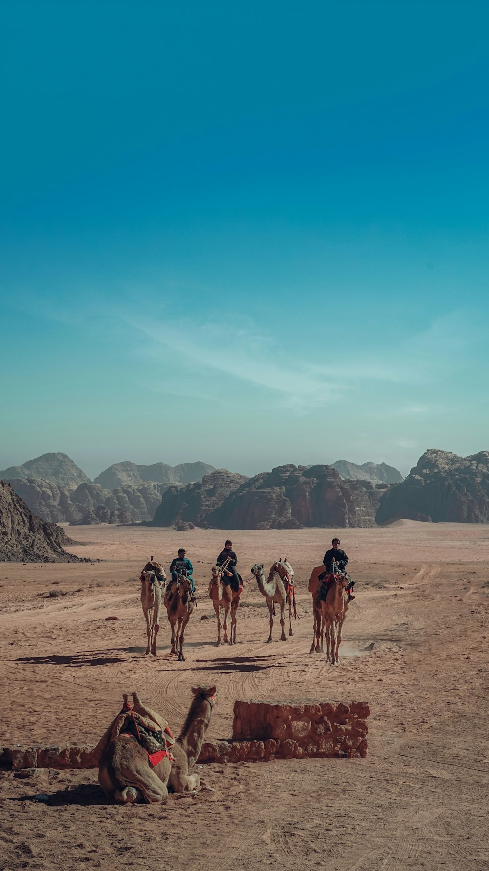 people walking on brown sand during daytime