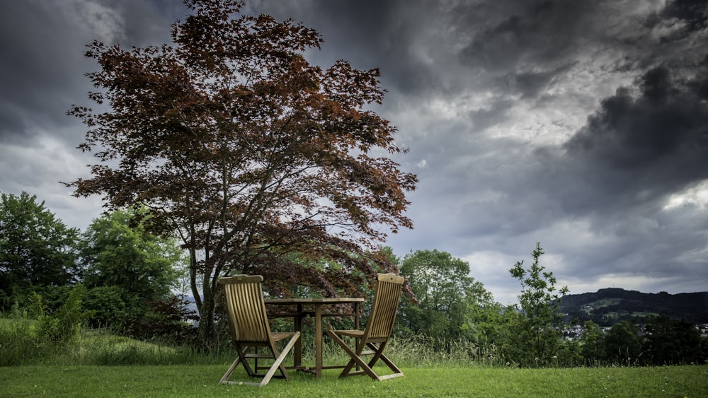 brown wooden armchair on green grass field
