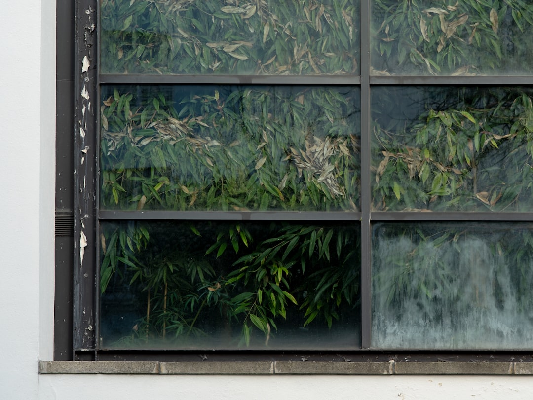 black wooden framed glass window