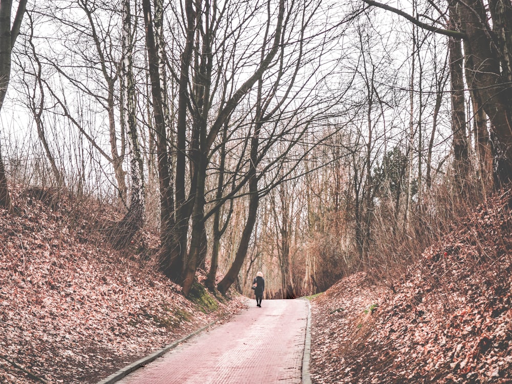 person in gray jacket walking on pathway between bare trees during daytime