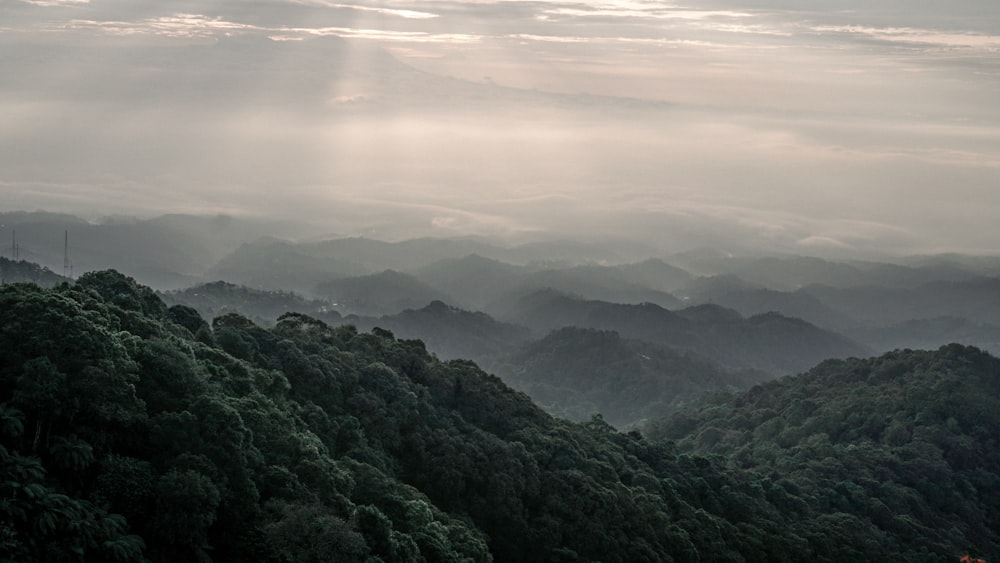 green trees on mountain under white clouds during daytime