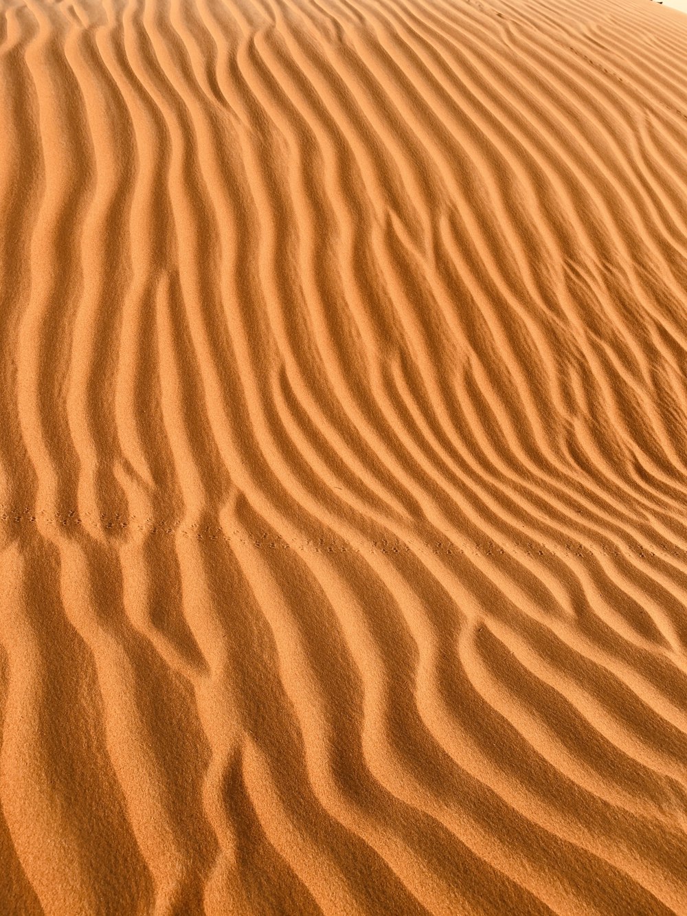brauner Sand mit Wasser tagsüber
