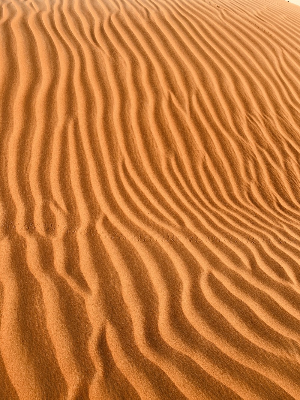 arena marrón con agua durante el día