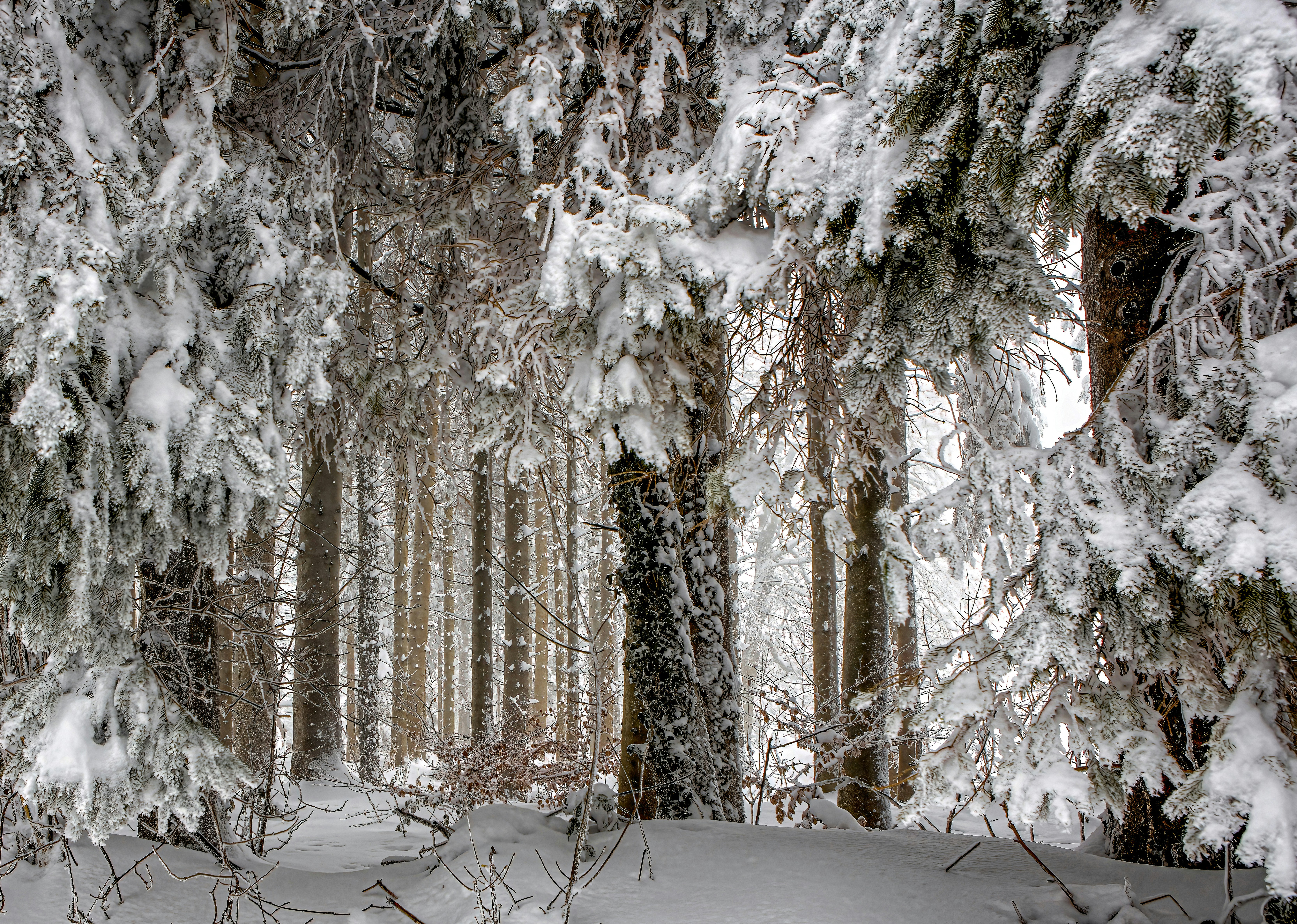 Photo by rgaleriacom