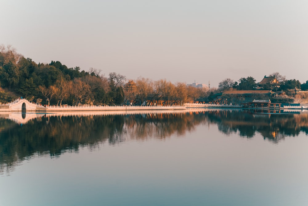 body of water near trees during daytime