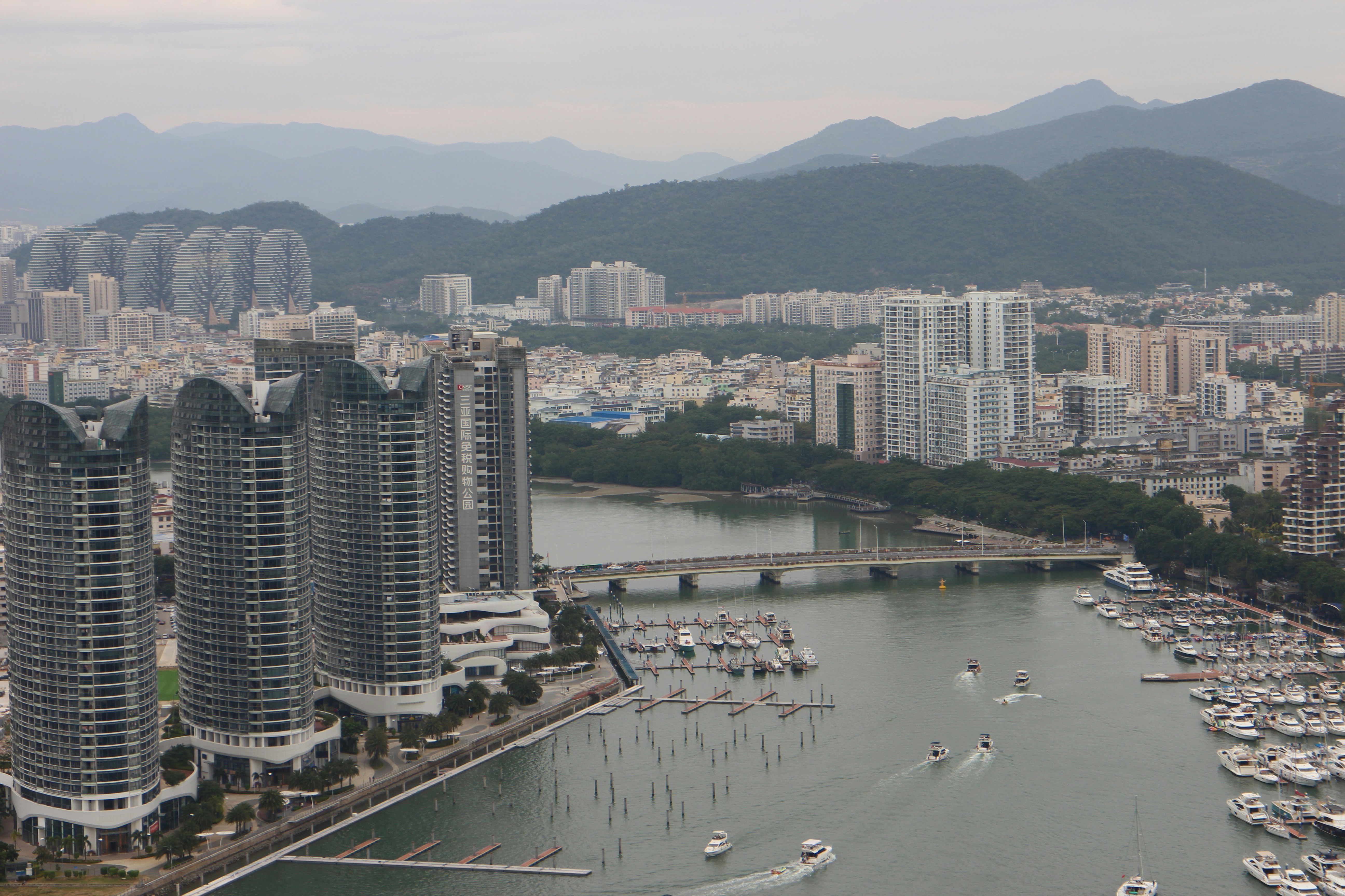 Photo by parsleyball