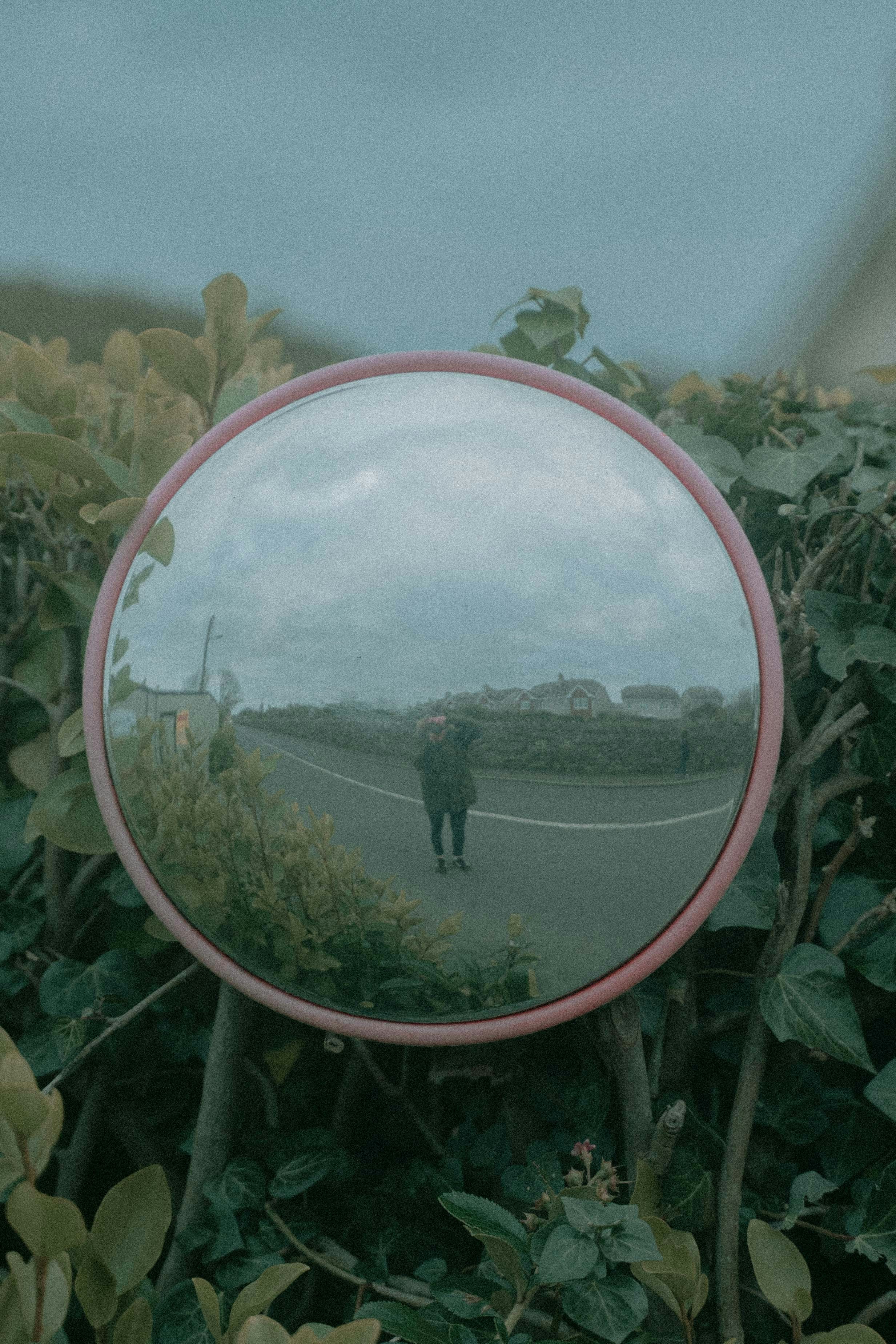 black bird on red round mirror