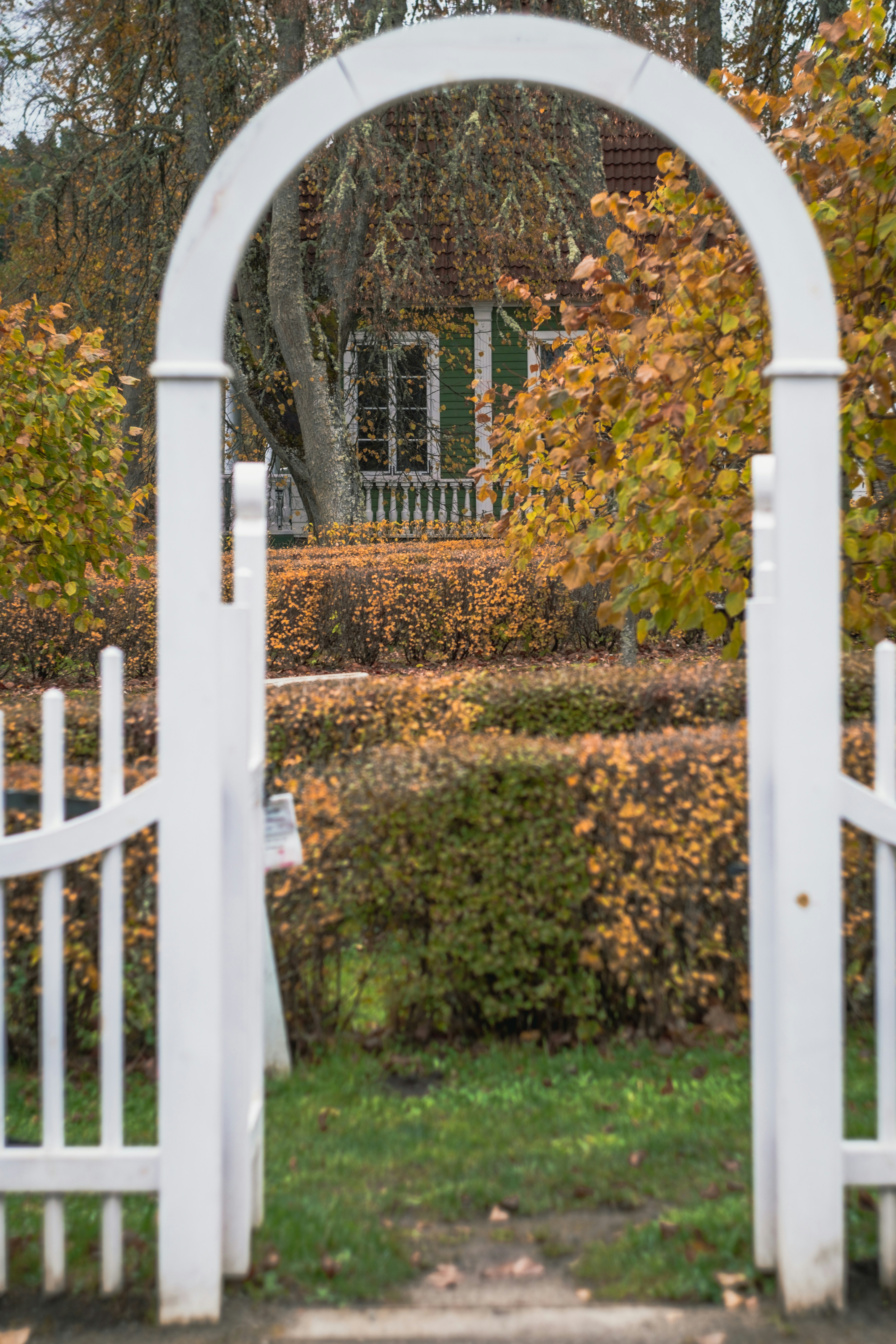 Photo by silverringvee