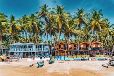 people on beach during daytime