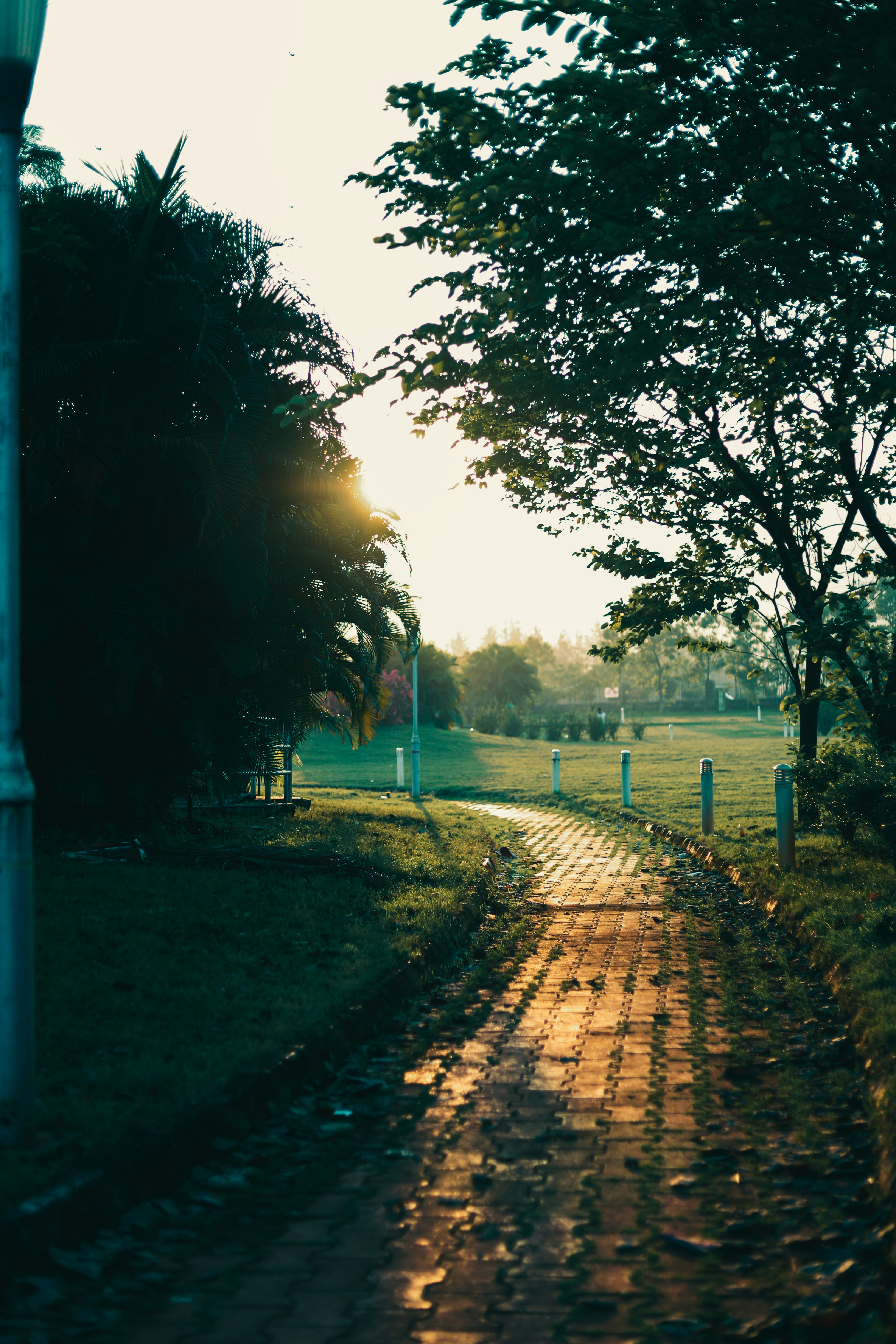 Photo by 2wenty6thstreet