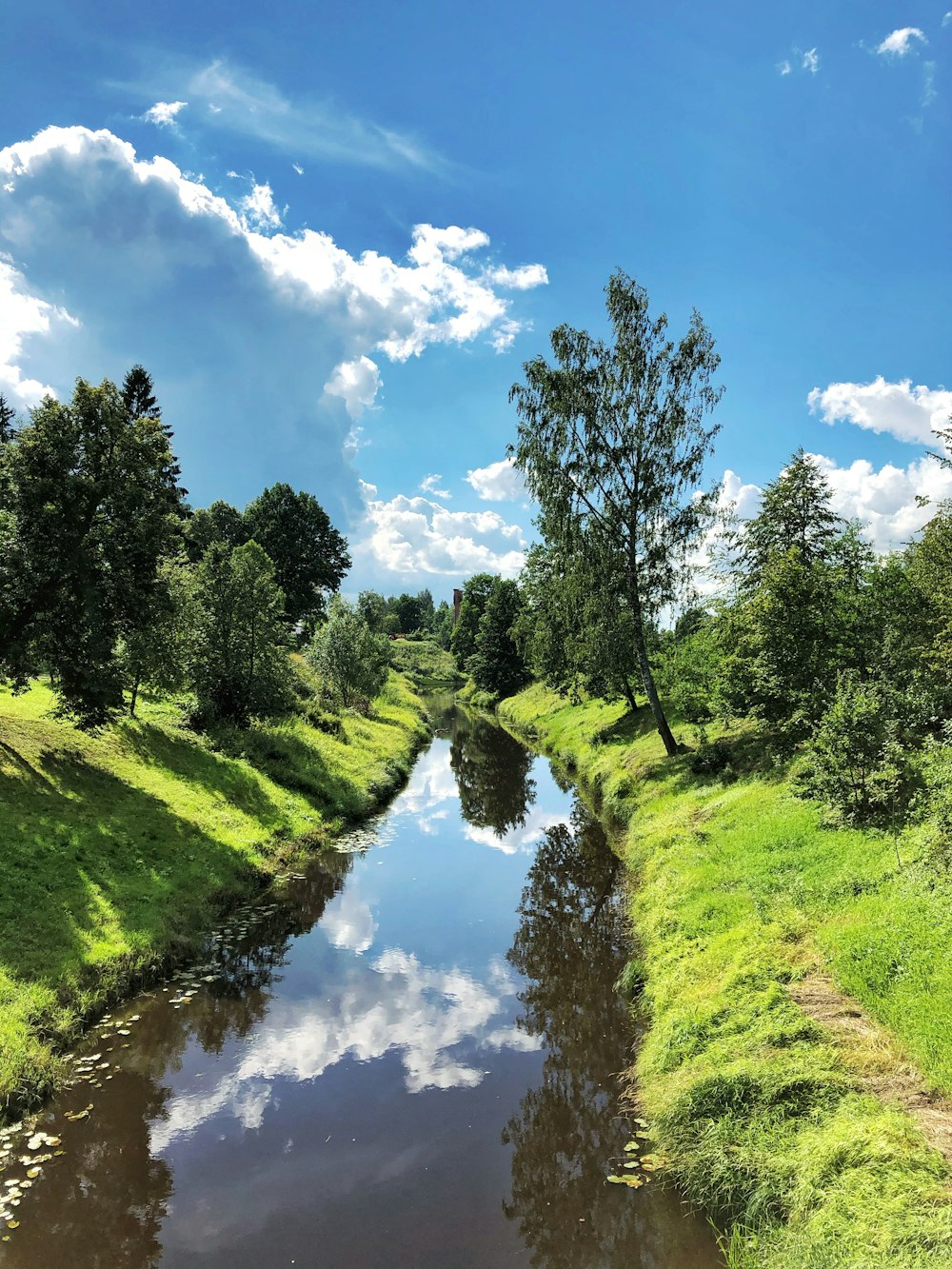 Grünes Grasfeld und Bäume in Flussnähe unter blauem Himmel tagsüber