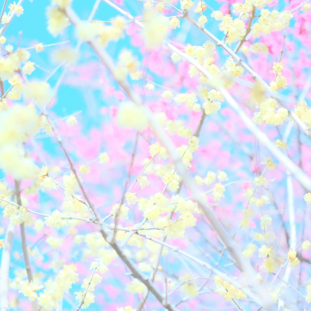 yellow and green leaves tree under blue sky during daytime