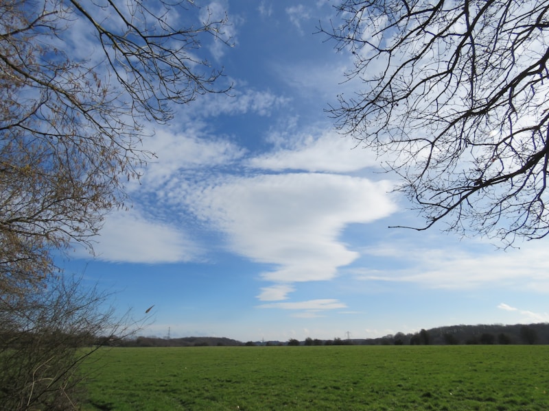 SpeedQuizzing at Castle Tavern