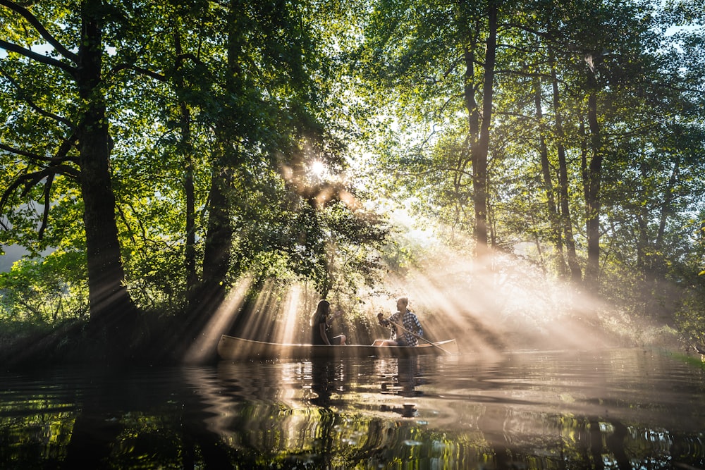 arbres verts au bord de la rivière pendant la journée