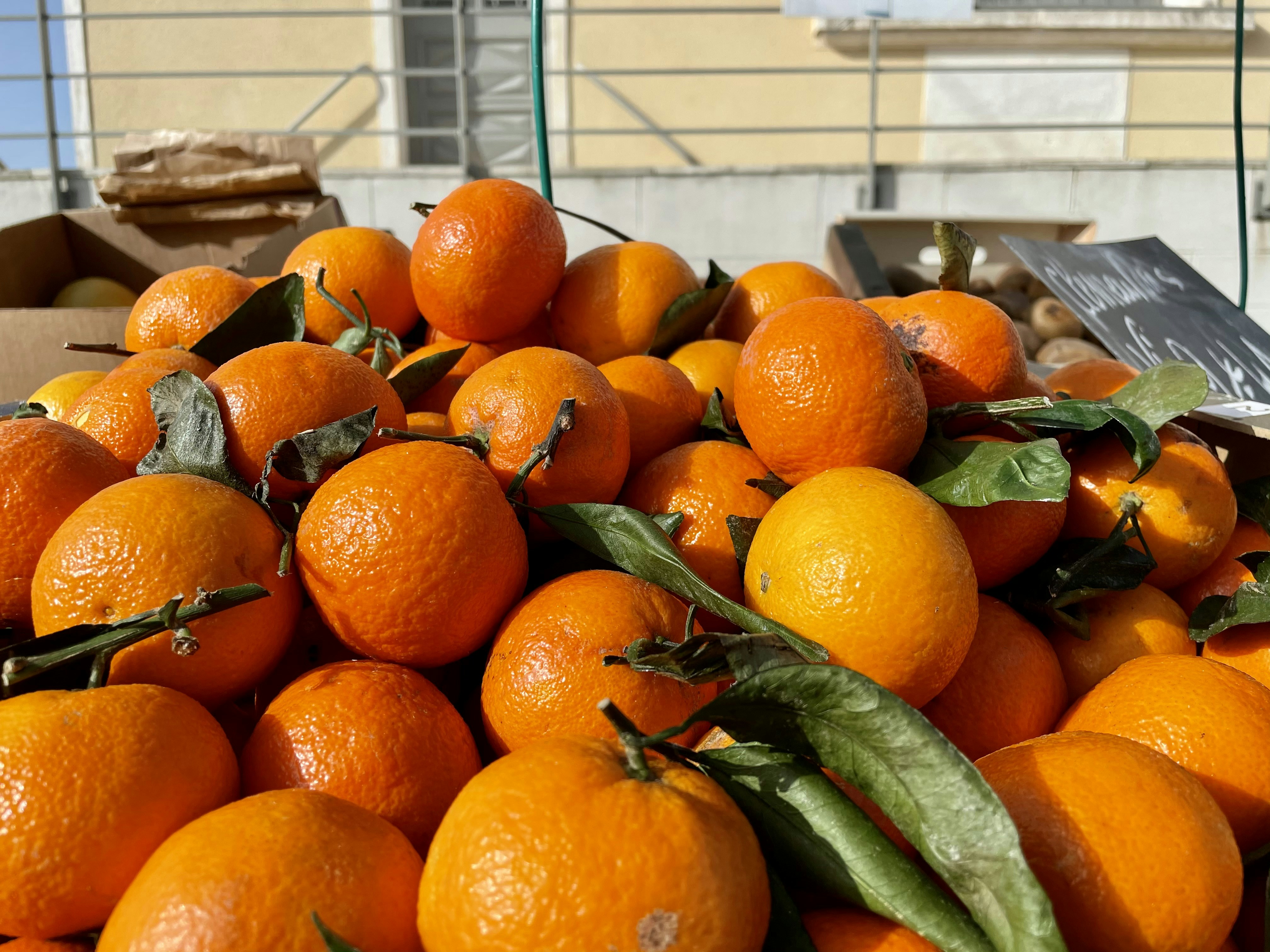 Photo by thomascateau