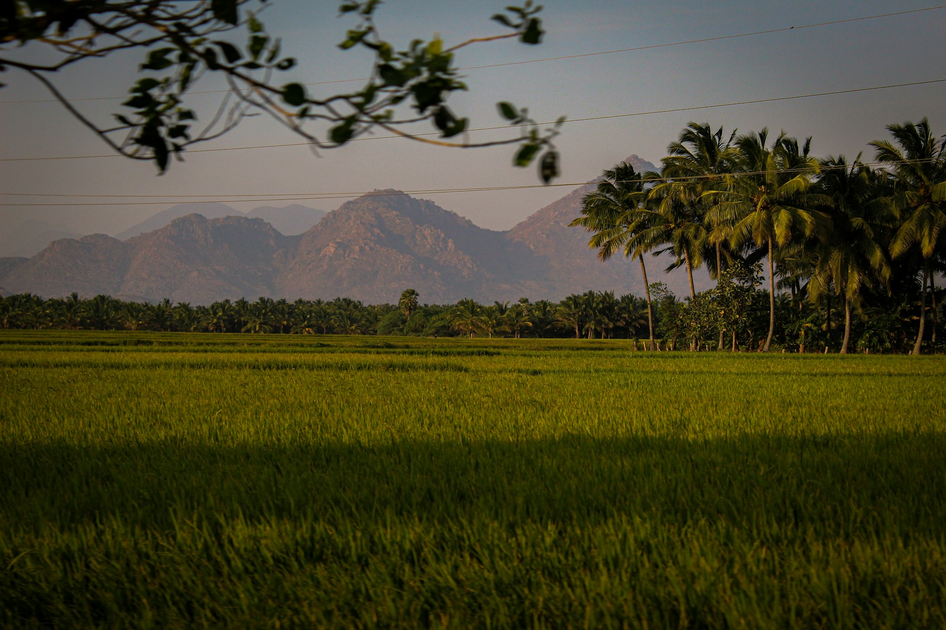 green grass field near mountain during daytime