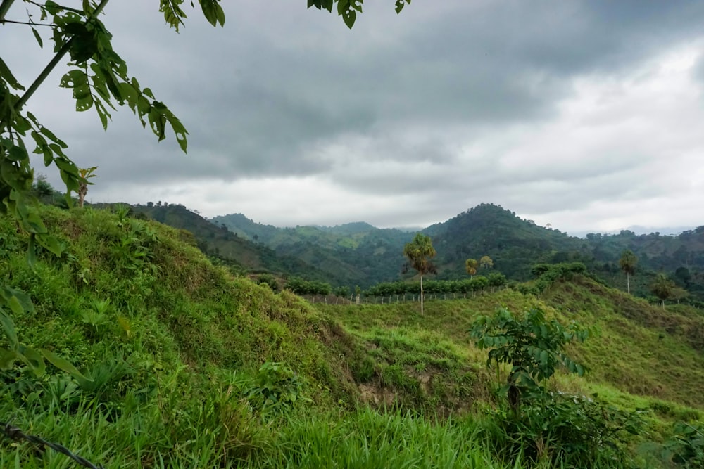 green grass field near mountain under white clouds during daytime