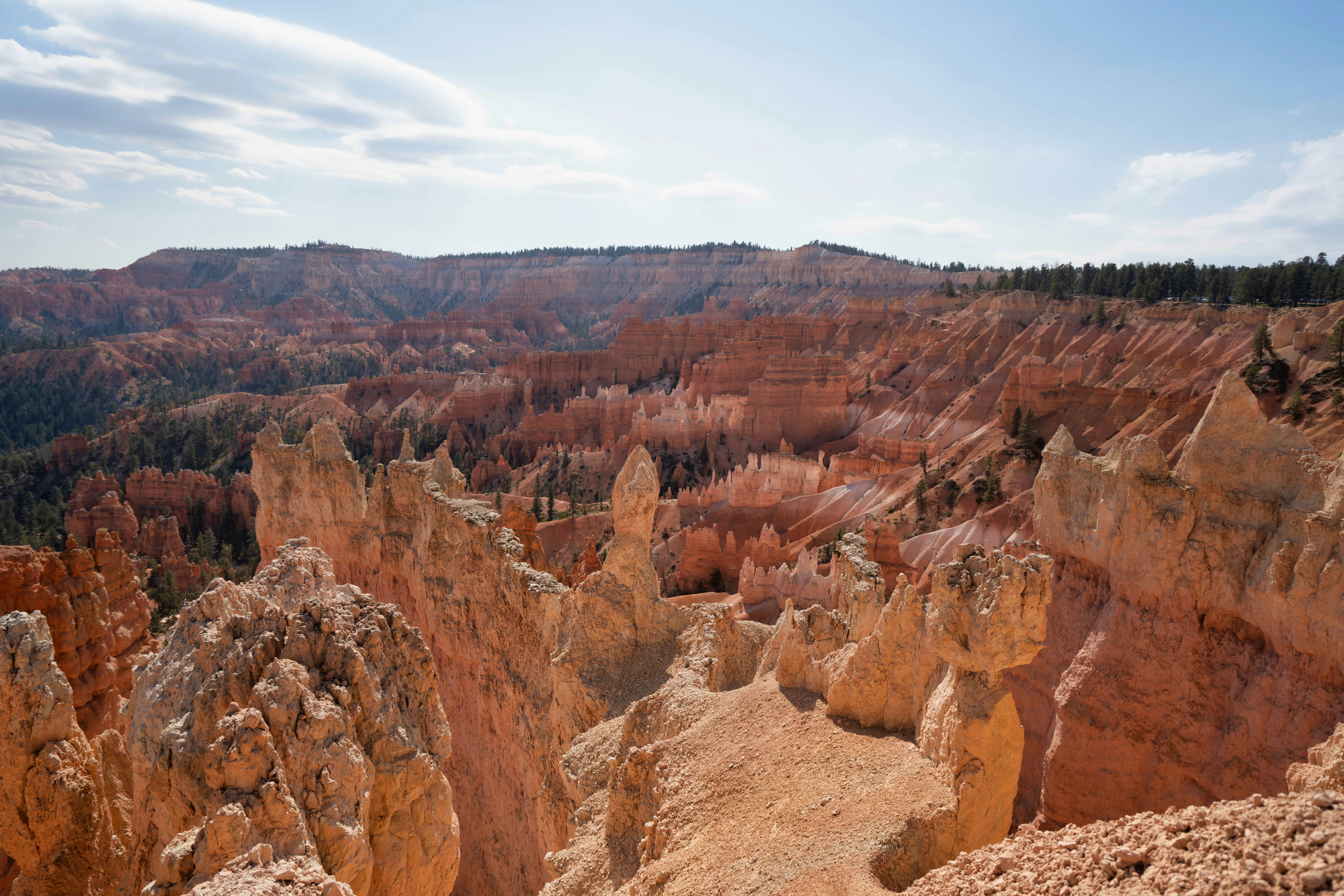 Photo by datingscout