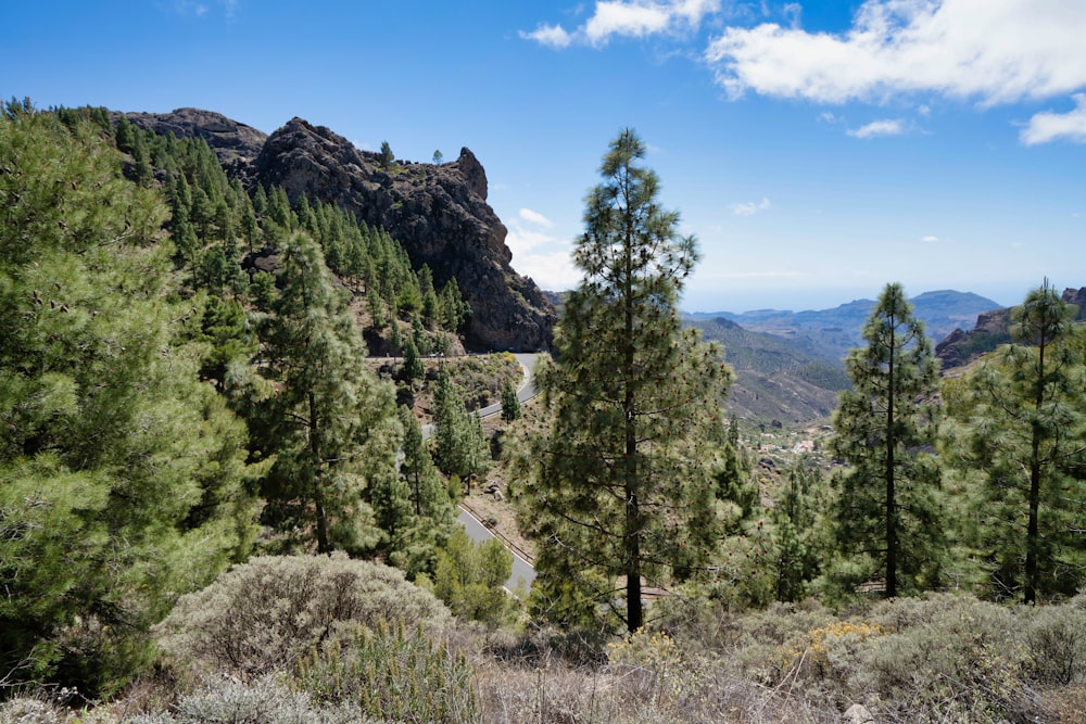 árboles verdes cerca de la montaña bajo el cielo azul durante el día