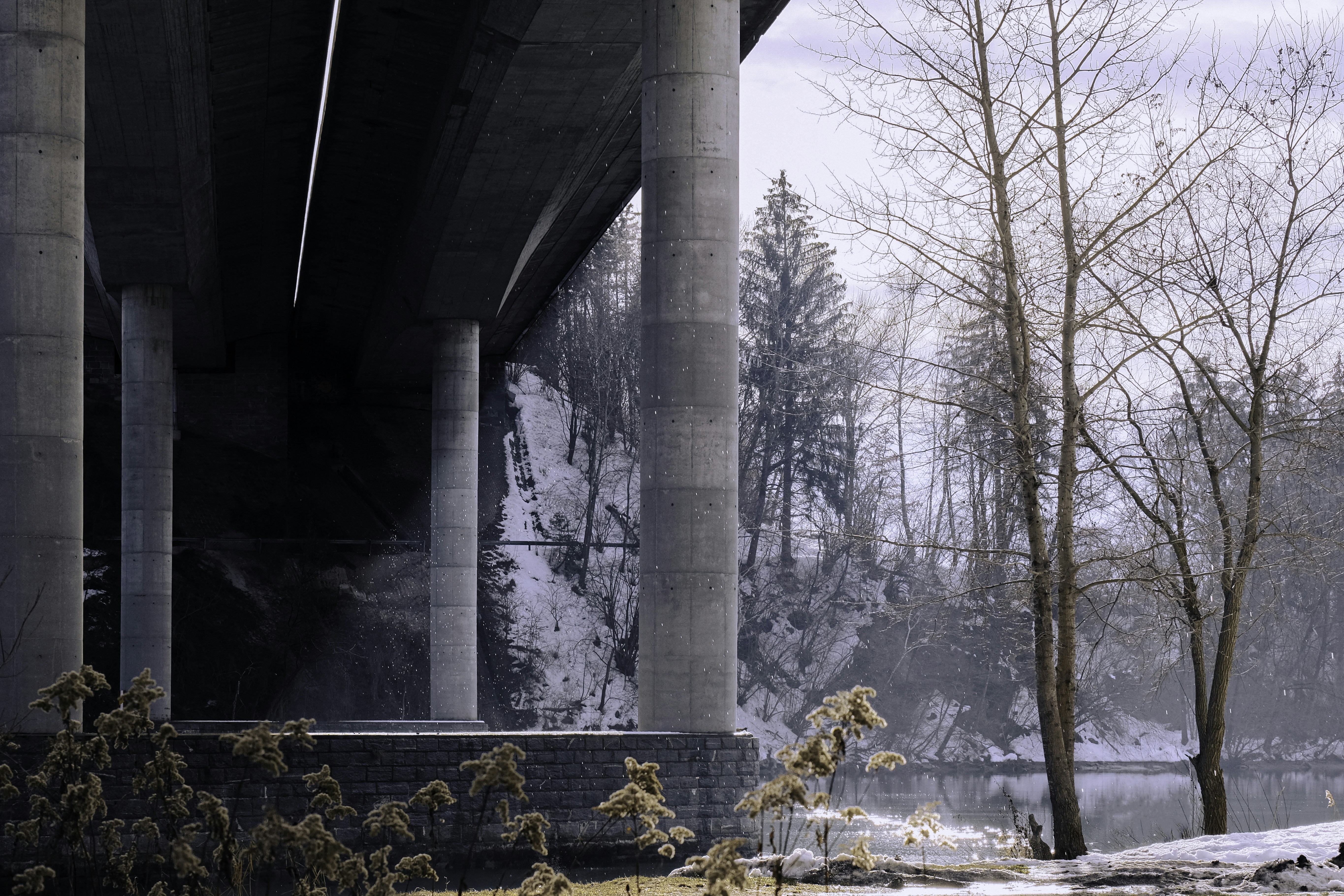 valla de madera marrón cerca de los árboles durante el día