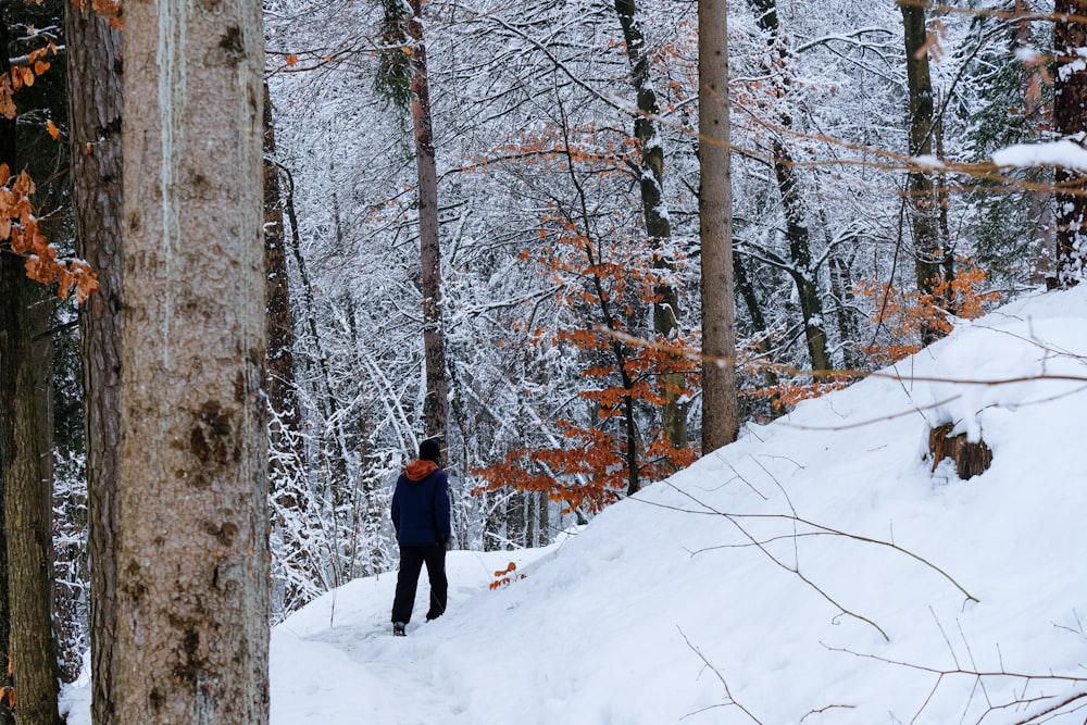 person in black jacket walking on snow covered ground during daytime