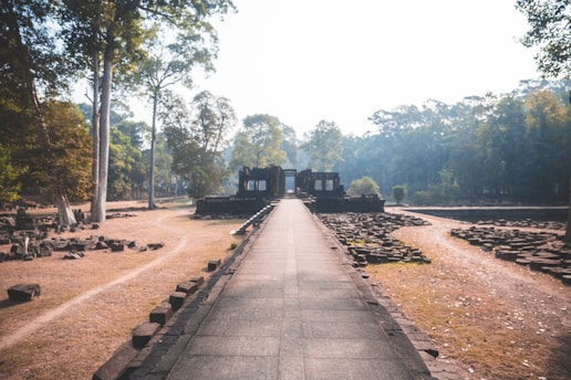 A sunlit path winding through ancient ruins, inviting quiet reflection.