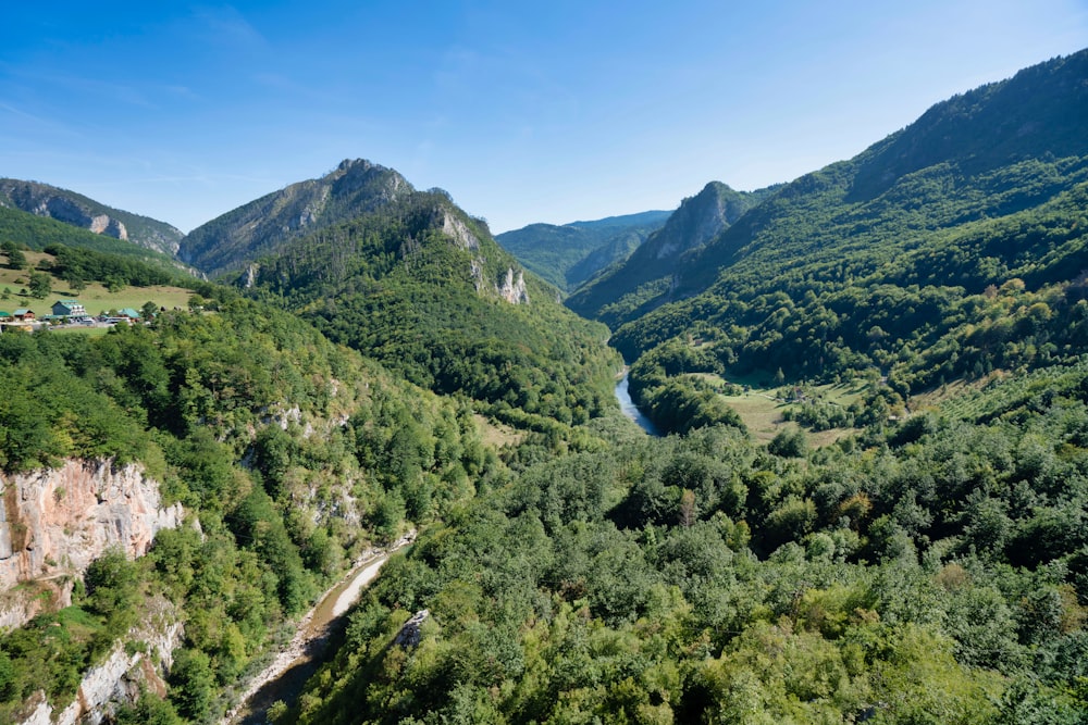 Grüne Bäume am Berg unter blauem Himmel tagsüber