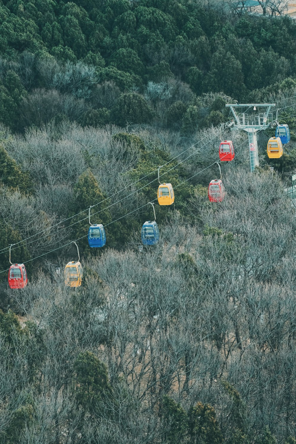 red and yellow cable cars