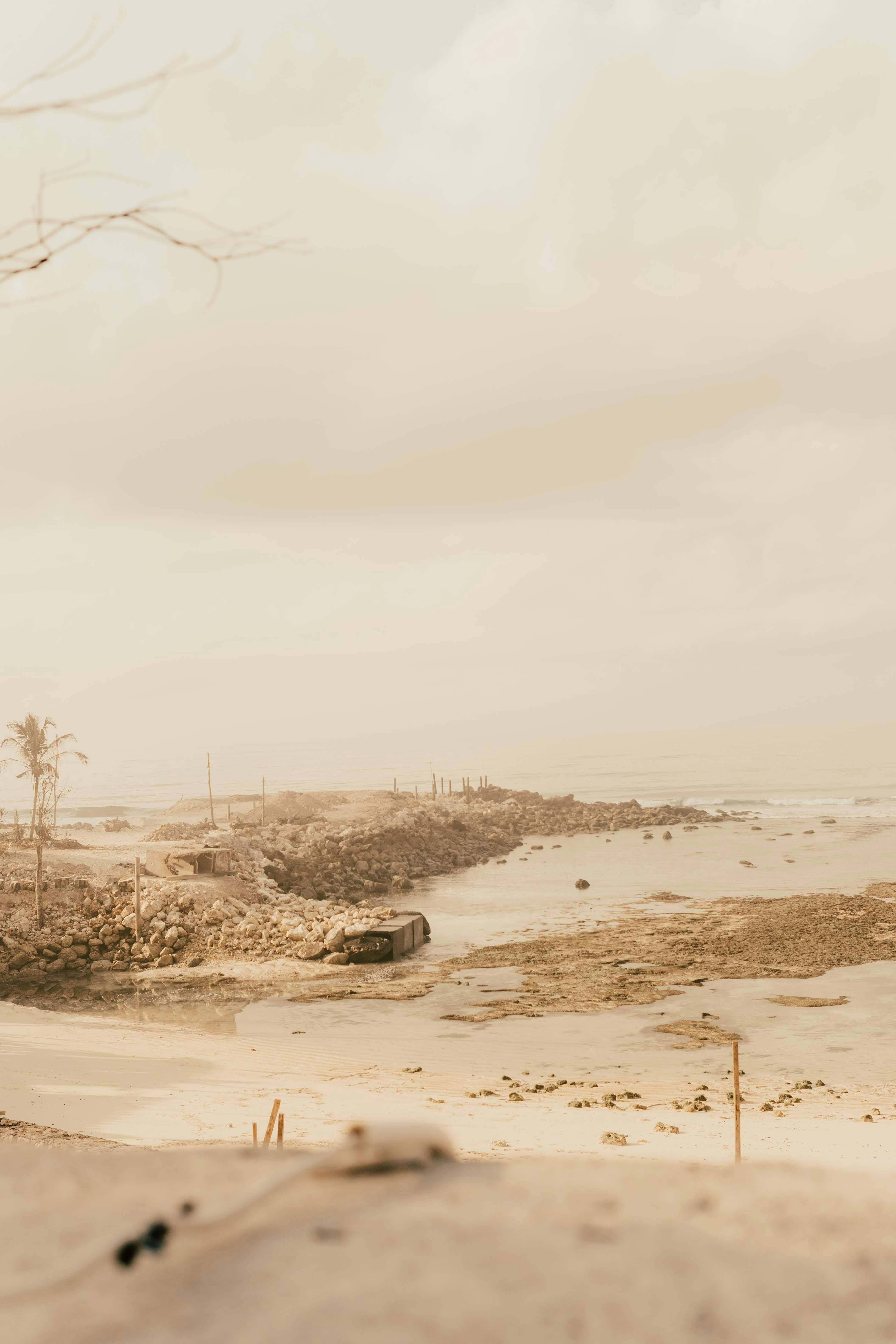 Photo by animgraphlab