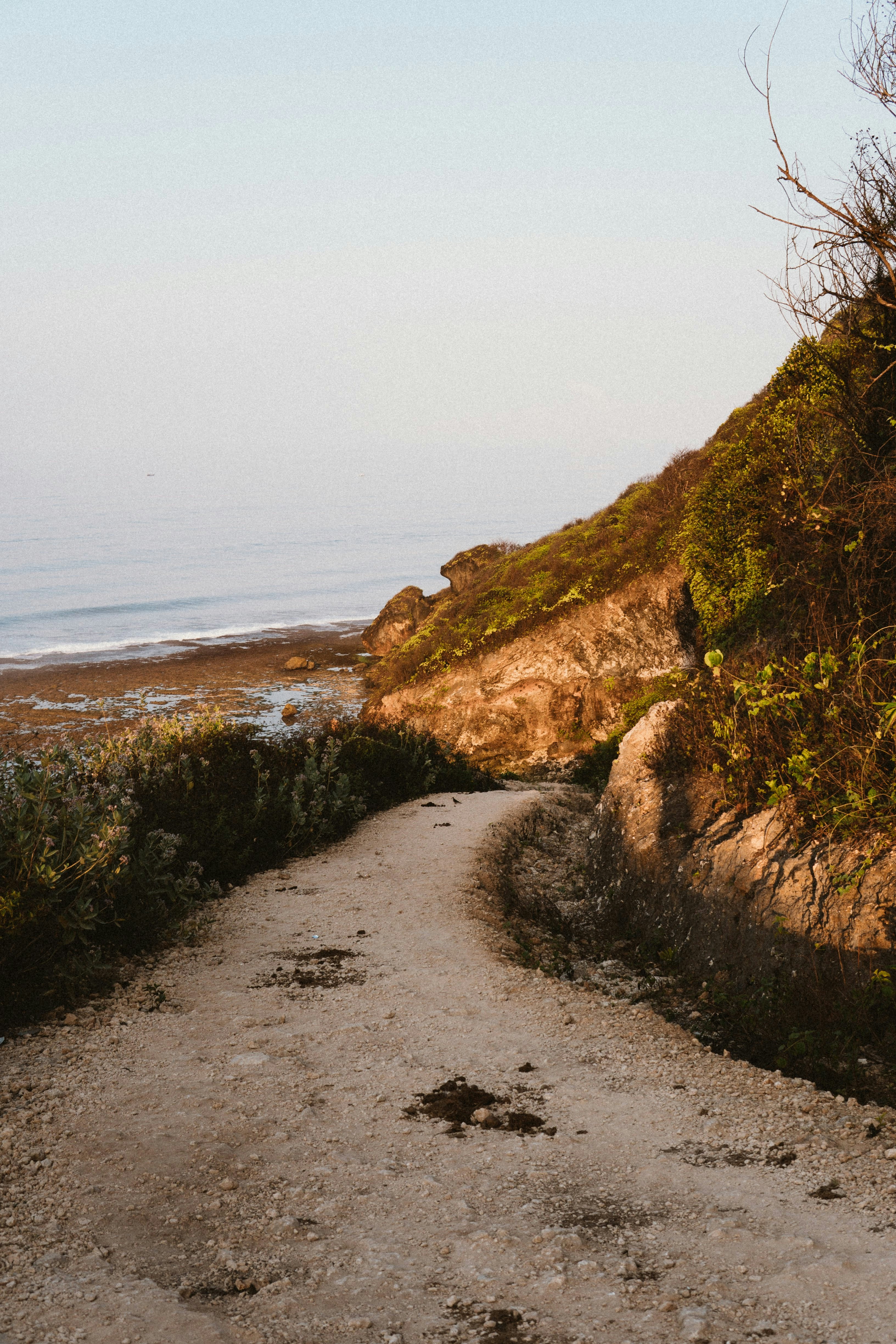 Photo by animgraphlab