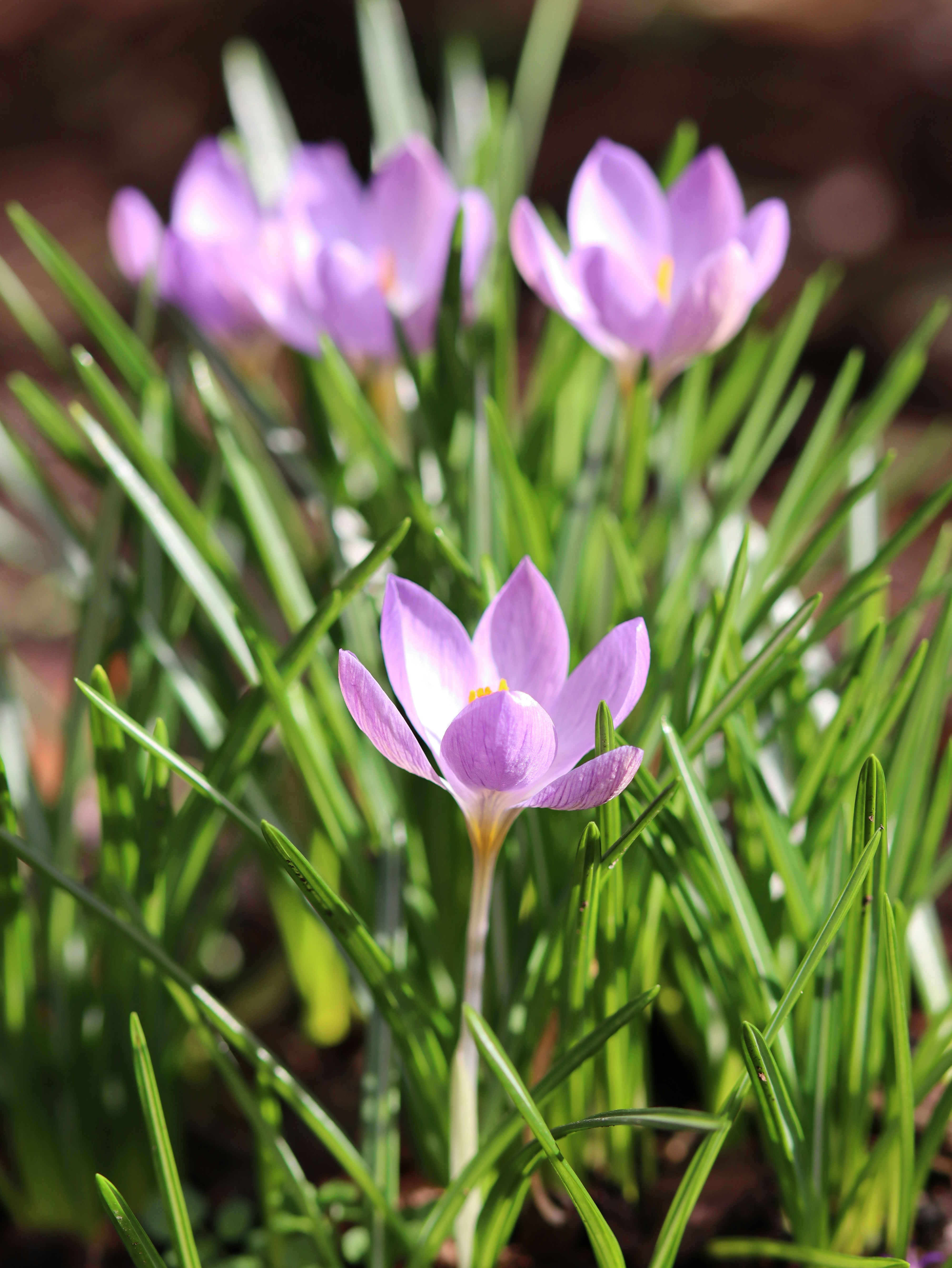 Photo by gabriellenca