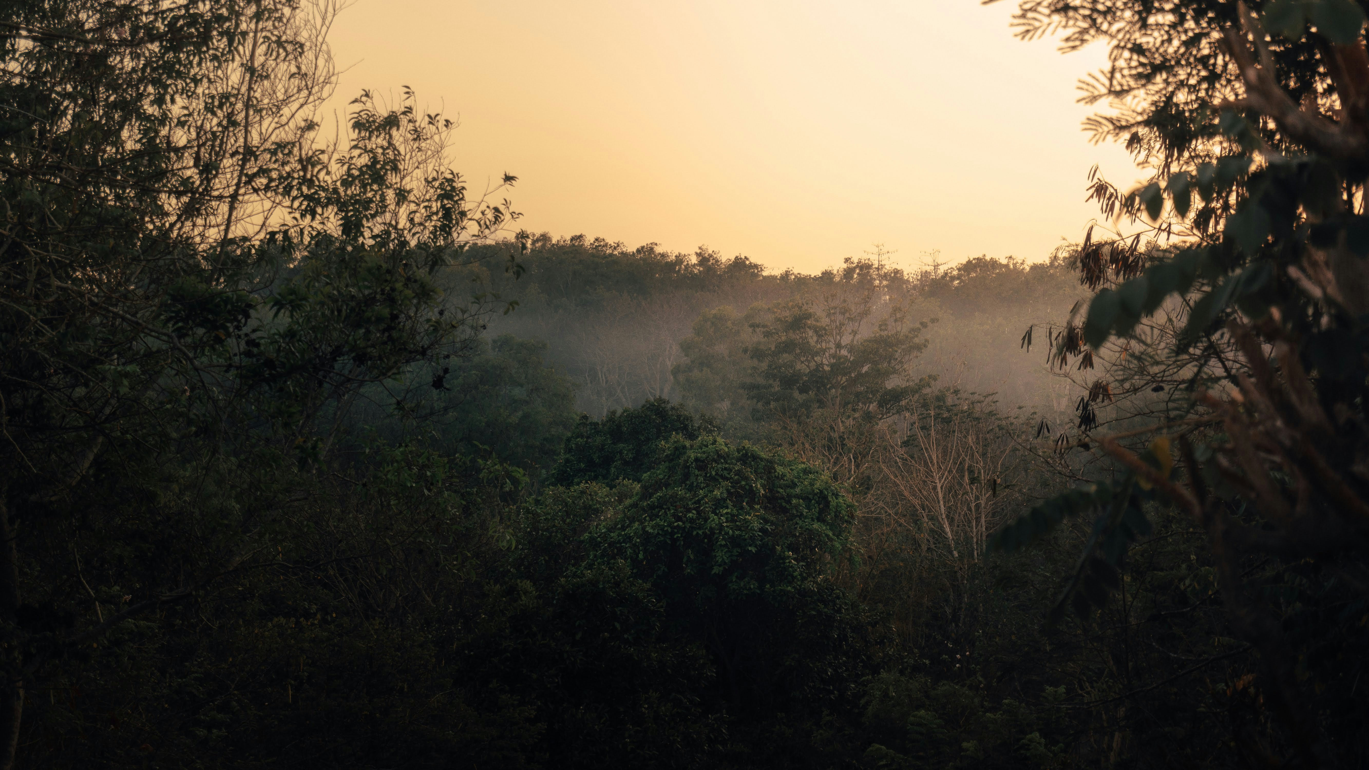 Photo by animgraphlab