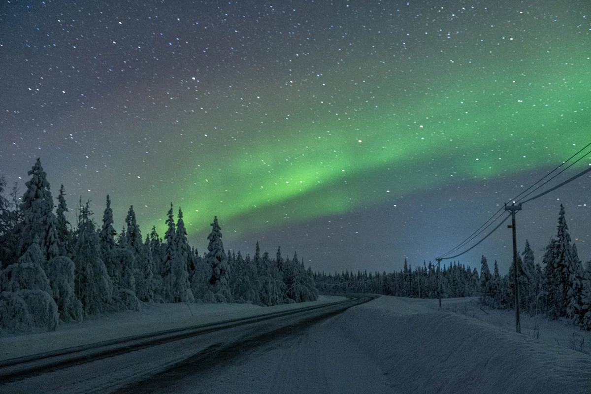 Green northern lights over the forest