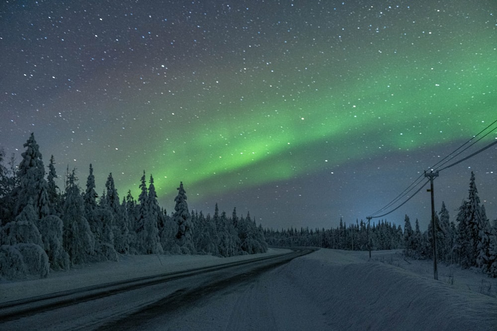 green aurora lights over the road