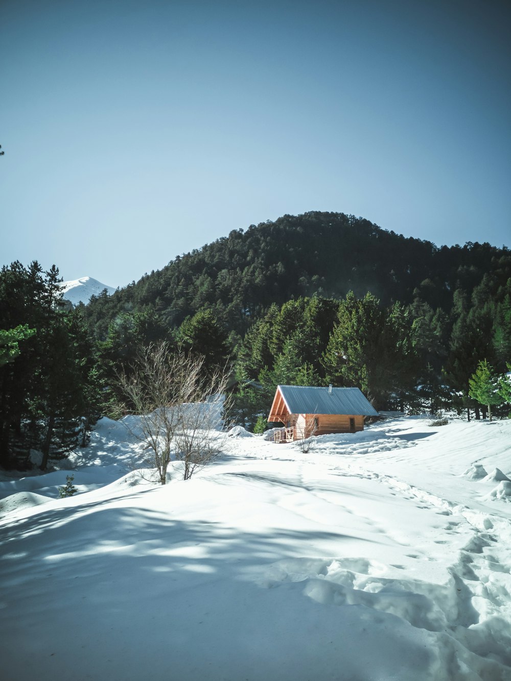 Casa de madera marrón en un terreno cubierto de nieve cerca de la montaña durante el día