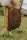 A close-up of a beekeeper gently inspecting a hive surrounded by green fields.