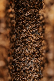 brown and black fur textile