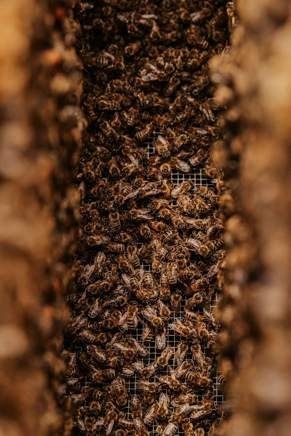 brown and black fur textile