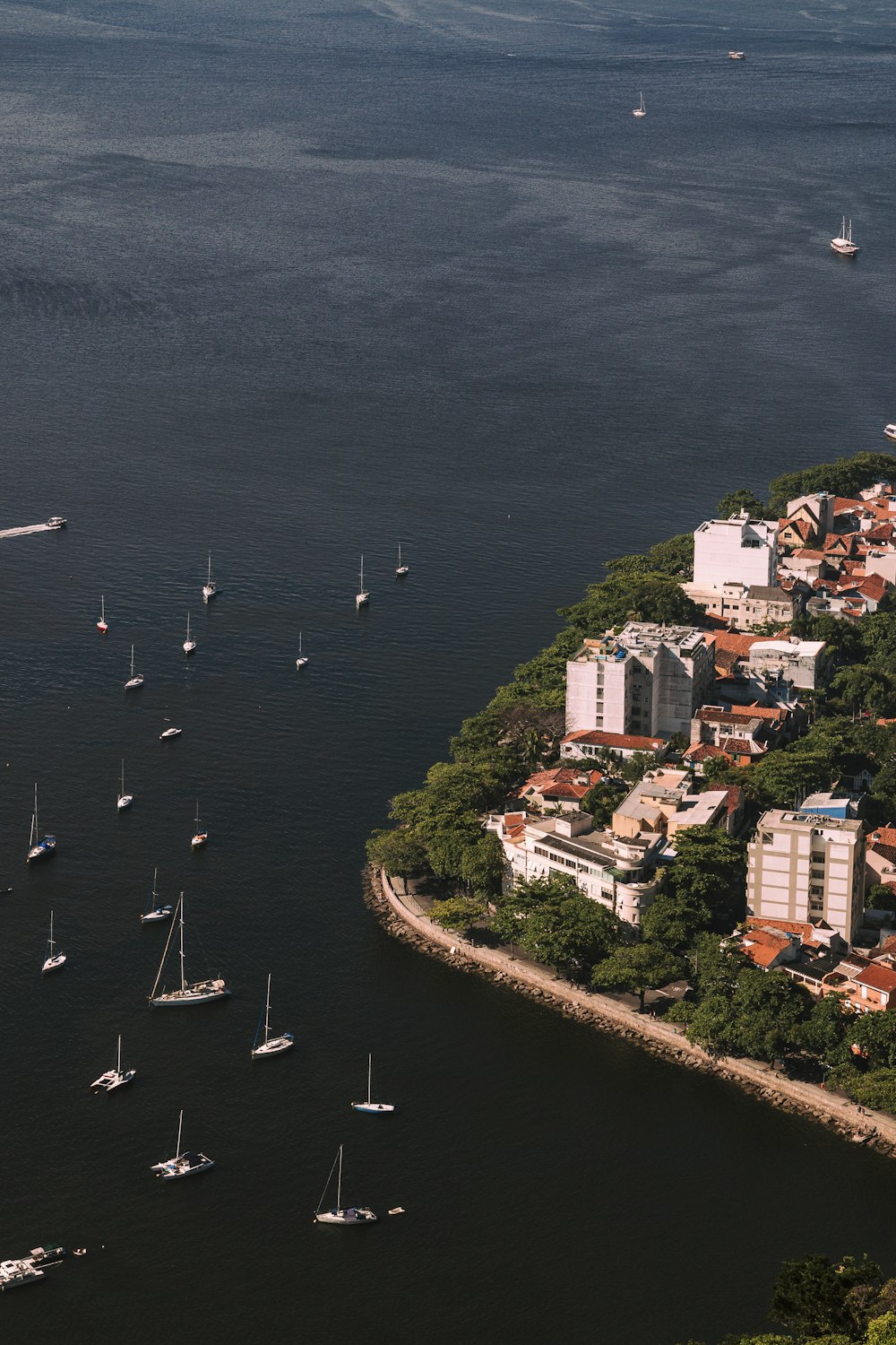 aerial view of city buildings near body of water during daytime